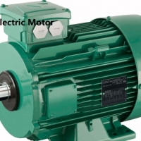 guanfen guanfen guanfen